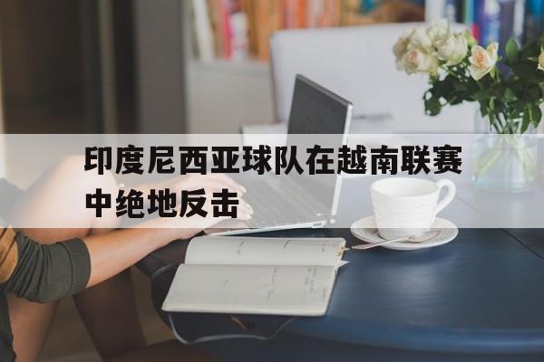 印度尼西亚球队在越南联赛中绝地反击的简单介绍
